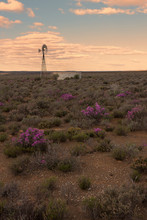 Desert Wind Pump