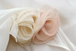 canvas print picture - Rose in organza