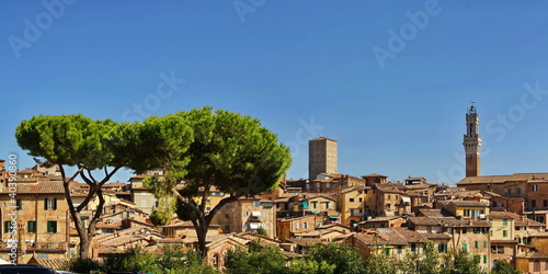 Tapeta ścienna Siena