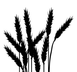 Sticker - wheat black silhouettes isolated on white