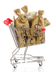 Sticker - Bags with money in trolley isolated on white