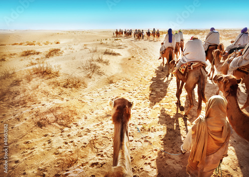 Board z aluminiowym obramowaniem Pustynia Sahara