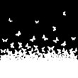 © Alexander Korablin - The silhouettes of butterflies