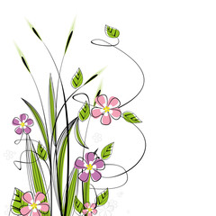 Wall Mural - grass with flowers on white background