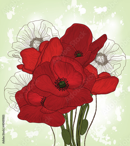 Naklejka dekoracyjna vintage poppies composition