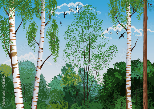 Naklejka dekoracyjna Landscape with trees and flying swallows