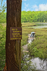 protected natural bog