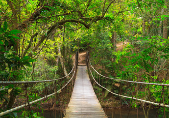 Obraz na płótnie wiszący most w dżungli