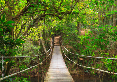 Naklejka na drzwi Most do dżungli, Park Narodowy Khao Yai, Tajlandia