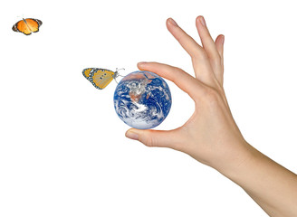 Wall Mural - Butterfly sitting on Earth.Elements of this image furnished by N