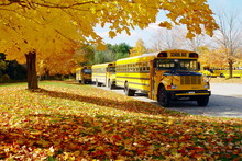 Autumn School Bus