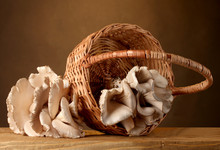 Oyster Mushrooms In Basket On Wooden Table On Brown Background