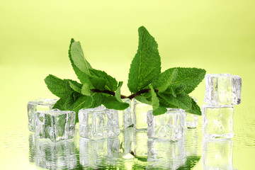 Wall Mural - Fresh mint leaf and ice cubes with droplets on green background