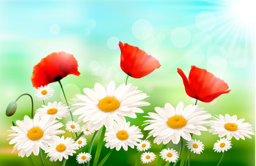 Poster - Nature background with summer flowers and zipper