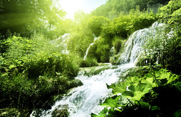 Canvas Print - waterfall in deep forest
