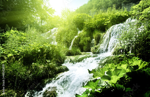 Naklejka dekoracyjna waterfall in deep forest