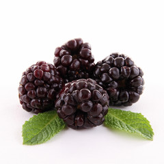 isolated blackberry