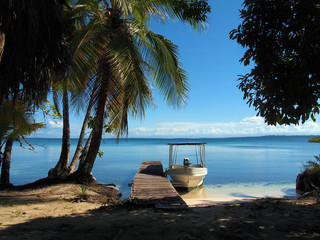 Boat at dock under coconut tree on tropical shore with calm water of the Caribbean sea, Bocas del Toro, Panama, Central America