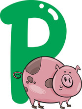 P For Pig