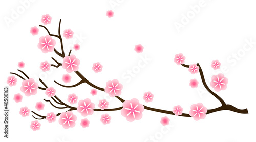 Plakat na papierze fotorealistycznym Sakura kwiat wiśni wiosną na białym