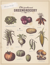 Vintage Greengrocer's Placard With Different Vegetables (2)