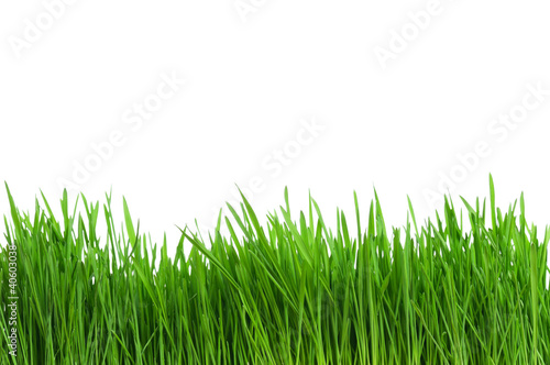 Dekoracja na wymiar  zielona-trawa