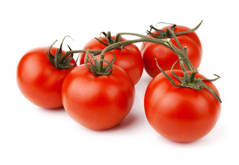 tomatos