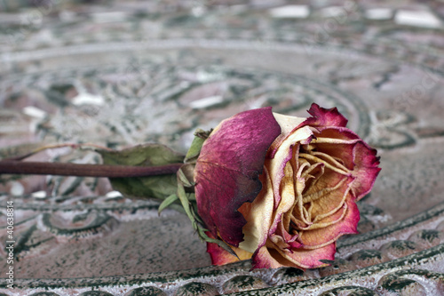 Fototapeta do kuchni Einzelne Rose auf Eisentisch