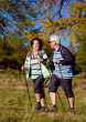 canvas print picture Senioren beim walking in der Natur - autumn hiking 10