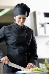 Wall Mural - chef preparing meal