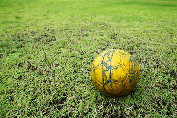 Football or soccer ball on the green field