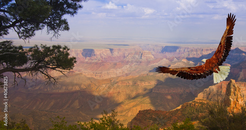 Board z aluminiowym obramowaniem Orzeł bierze lot nad grand canyon usa