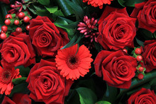 Red Flower Composition, Roses And Gerberas