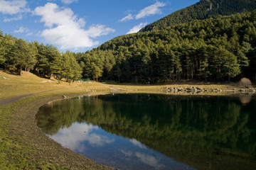 Wall Mural - Lake in the forest