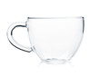 Empty glass tea cup
