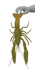 Poster - 3d render of cartoon character with crayfish