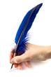 Blue quill pen