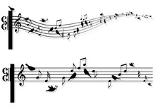 Music Notes With Birds, Vector