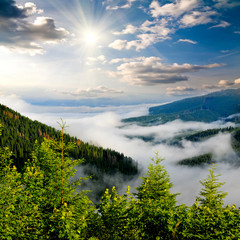 Canvas Print - Foggy sunrise on the mountains