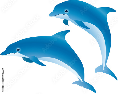 ベストリアル おしゃれ イルカ イラスト ただのディズニー画像 ベストリアル おしゃれ イルカ イラスト ただのディズニー画像