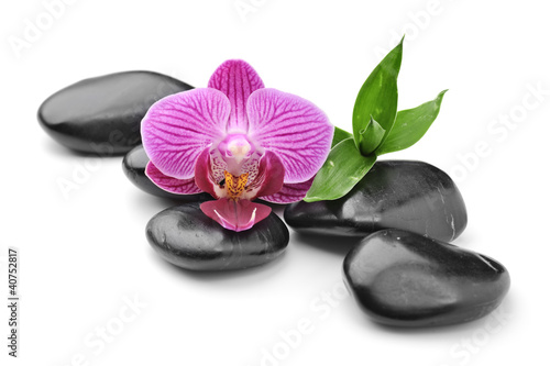 Fototapety do gabinetu kosmetycznego   orchidea