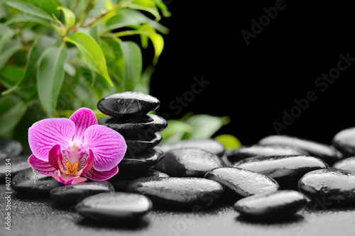 Plakat na papierze fotorealistycznym Orchidea
