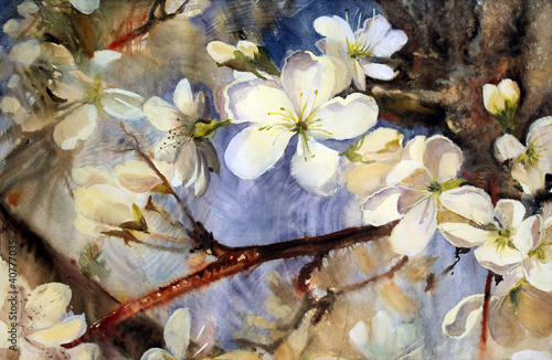 Naklejka na drzwi Watercolor painting of the white flowers.