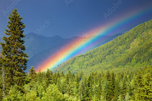 Naklejka - mata magnetyczna na lodówkę Rainbow over forest