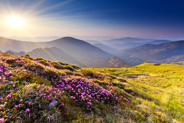 mountain landscape