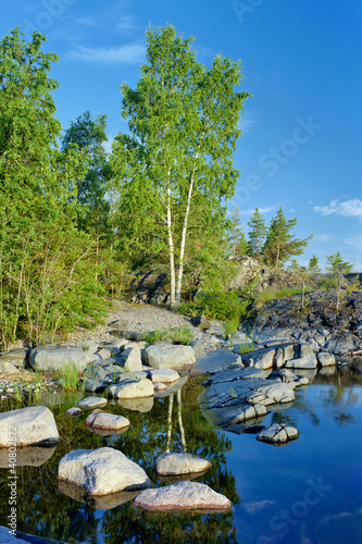 Plakat na papierze fotorealistycznym Brzoza na kamienistym brzegu jeziora ladoga, Karelia, Rosja