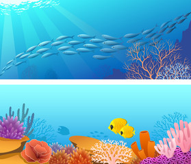 Wall Mural - Sea  life banner