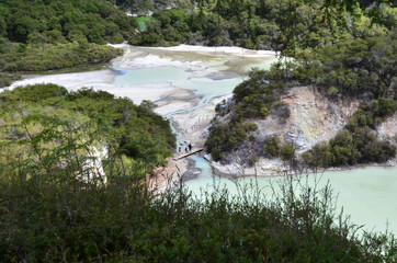 Wall Mural - New Zealand -Travel Photos