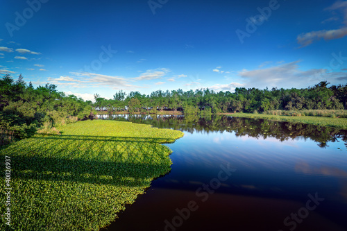 Obraz na płótnie canvas czteroczęściowy "tetraptyk" Etang de saint-paul - wyspa spotkania