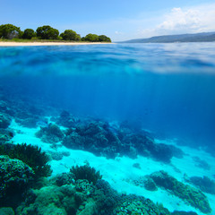 Wall Mural - Bali Barat National Park